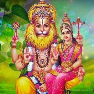 Meet your Posher, Laxmi